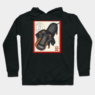 Funny dachshund looking  innocently on red trim stamp Hoodie